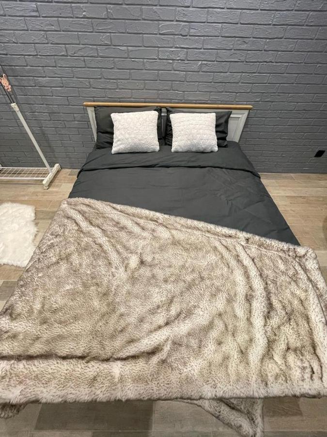 Loft_Apartment Kamyanets-Podilski Dış mekan fotoğraf